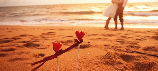 El día de San Valentín, lo único que necesitan es Amor 1